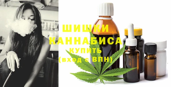 spice Алексин