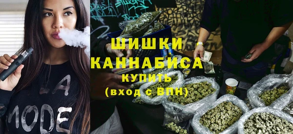 spice Алексин