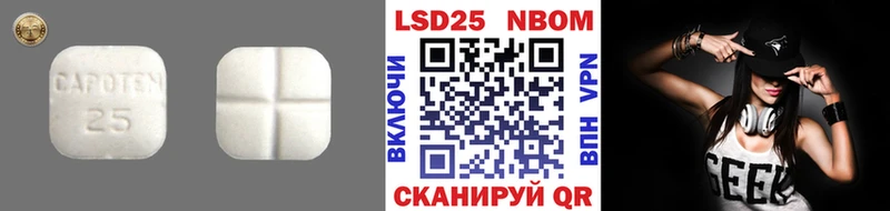купить наркотики цена Карачев Лсд 25 экстази ecstasy