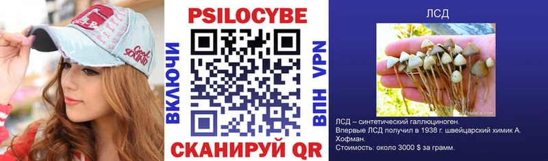 Псилоцибиновые грибы мухоморы Карачев